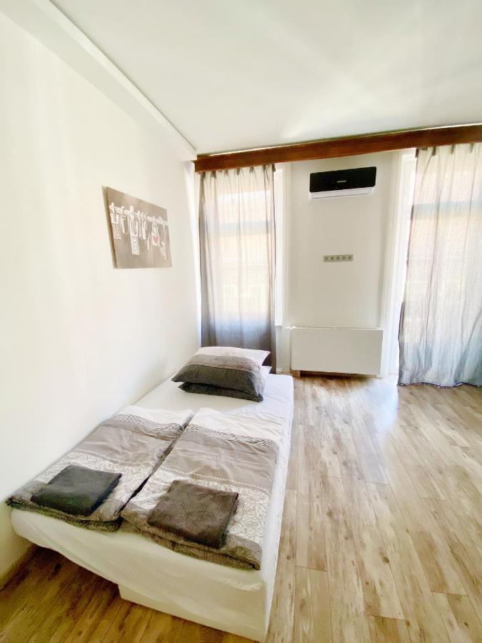 בודפשט Luxury Apartment In The Centre Ac Parking Garden מראה חיצוני תמונה